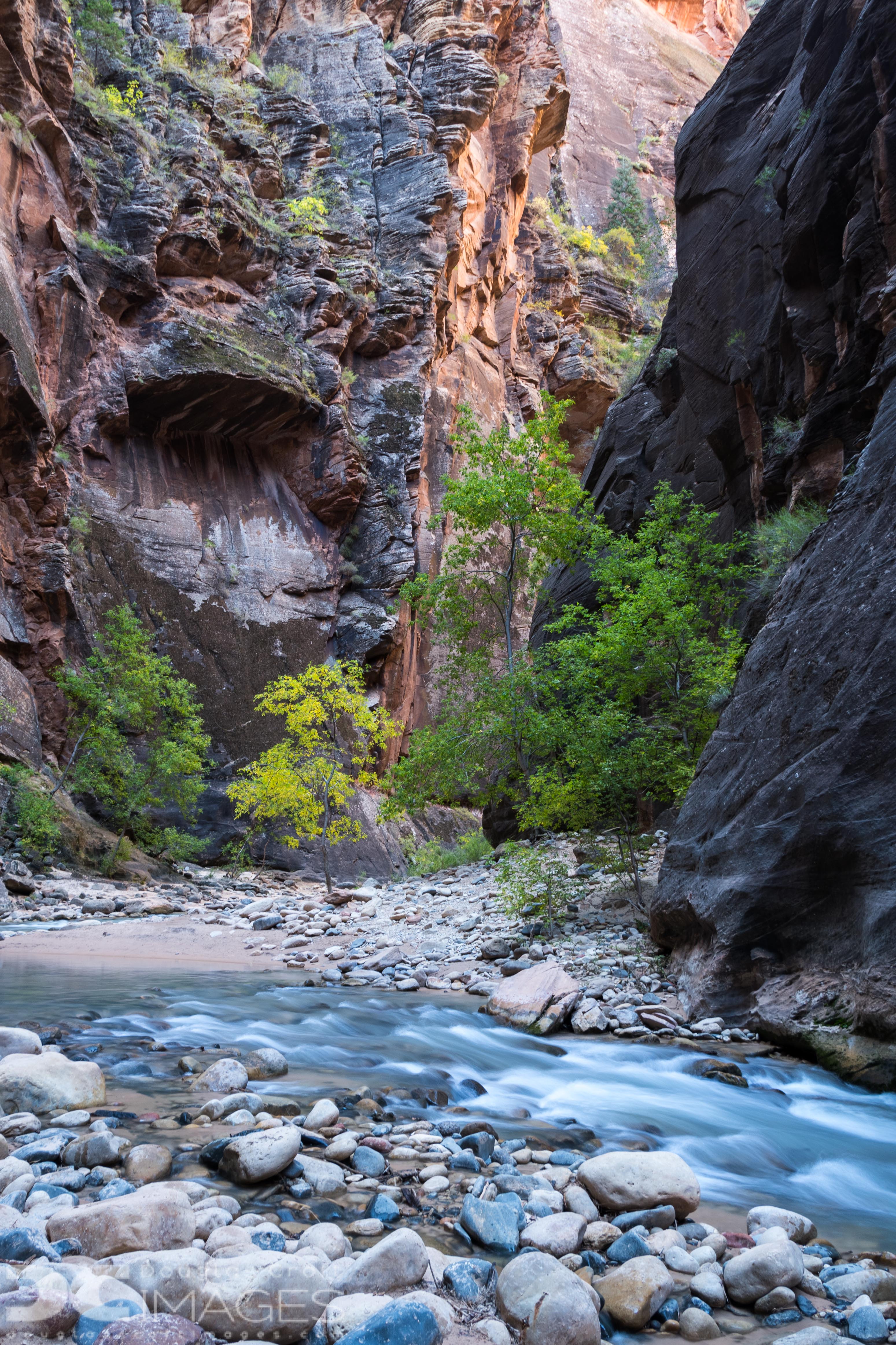 The Virgin Narrows Trail | Shutterbug